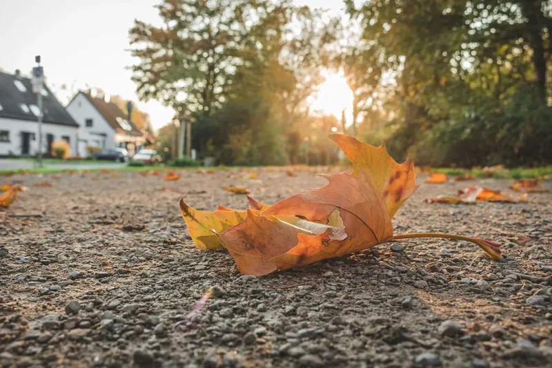 Stimmungsvolles Herbstfoto eines einzelnen Ahornblatts in warmen Orangetönen auf einem Kiesweg, fotografiert im goldenen Abendlicht vor einem unscharfen Hintergrund mit weißen Häusern. Perfekte herbstliche Atmosphäre.
